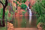 Wangi Falls and Natural Pool, Litchfield National Park, Northern Territory, Australia