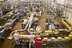 Production Line in Cheese Factory, Tillamook, Oregon, USA