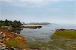 Inlet mit Cottage, Nova Scotia, Kanada