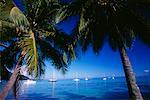 Sailboats at Opunoho Bay, Moorea, Tahiti, French Polynesia