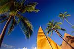 Catamaran Sail And Palm Trees, Island of Moorea, South Pacific, French Polynesia