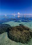 Fishing Boats and Coral Reef, Opunohu Bay, Moorea, Tahiti, French Polynesia,