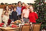 Extended Family Portrait at Christmas