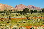Montagnes près de Haasts Bluff, territoire du Nord, Australie