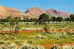 Mountains Near Haasts Bluff, Northern Territory, Australia