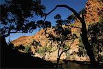 Ormiston Gorge dans les West MacDonnell Ranges, territoire du Nord, Australie