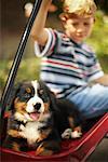 Boy and Puppy in Wagon