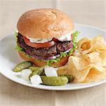 Hamburger avec des Chips de pommes de terre et cornichon