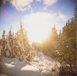 Sunset Over Cypress Mountain, Cypress Provincial Park, Vancouver, British Columbia