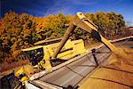 Agricole Machine combinant l'orge, Manitoba, Canada