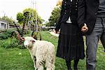 Couple Standing By Lamb, Woman Holding Baby Bottle