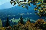 Herbst Scenic, Salzburger Land, Österreich