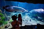 Regarder les poissons à l'Aquarium, monde sous-marin, Sentosa Island, Singapour