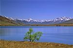 See, Rangitata Valley, Neuseeland