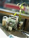 Condiments, Napkin Holder and Bamboo on Table in Restaurant