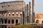 Colisée, Rome, Italie