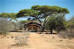 Campsite, Tanzania