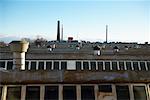 Overview of Urban Rooftops