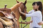 Cheval de poussées-élans de couple