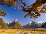 Milford Sound and Mitre Peak, New Zealand