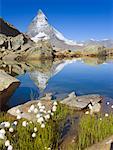 Matterhorn und Riffelsee, Zermatt, Schweiz