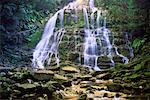 Nelson Falls, Tasmanian Wilderness World Heritage Area, Tasmania, Australia