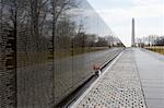 Vietnam Veteran Memorial, Washington, D.C., USA