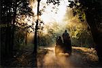 Menschen auf Safari, Bandhavgarh Nationalpark, Madhya Pradesh, Indien