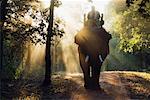 Mann, Reiten, Elefant, Bandhavgarh Nationalpark, Madhya Pradesh, Indien
