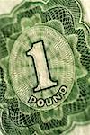 British one pound bank note, close-up