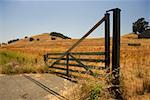 Fence in a field