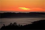 High angle view of clouds around a hill, Mt. Tamalpais State Park, California, USA