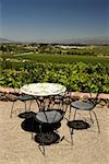 Table with three chairs near a vineyard