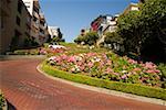 Vue d'angle faible de Lombard Street, San Francisco, Californie, USA