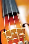 Close-up of violin and its bridge and strings