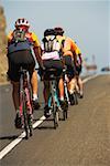 Rear view of a group of people cycling