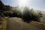 High angle view of a road in the wilderness