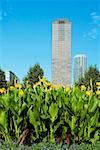 Wolkenkratzer in der Stadt Chicago, Illinois, USA