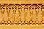 Close-up of carved wall, Rajmahal Jaisalmer, Rajasthan, India