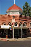 Lamppost in front of a building, Sonoma County, California, USA