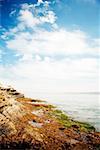 Vue grand angle sur une formation rocheuse dans la mer, des récifs de La Jolla, baie de San Diego, Californie, Etats-Unis