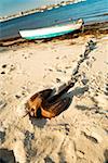 Side profile of a rowboat parked on the shore, San Diego, California, USA