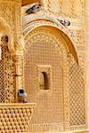 Pigeons assis sur le rebord d'une fenêtre, Jaisalmer, Rajasthan, Inde
