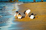 High angle view of children playing on the beach, San Diego, California, USA