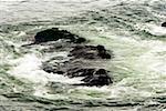 Vue grand angle sur une formation rocheuse dans la mer, des récifs de La Jolla, baie de San Diego, Californie, Etats-Unis