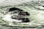 High angle view of a rock formation in the sea, La Jolla Reefs, San Diego Bay, California, USA