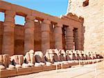 Statue of animals in a row, Temples Of Karnak, Luxor, Egypt