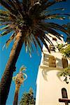 Low angle view of the Church of the Immaculate Conception, San Diego, California, USA