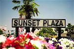 Sunset Plaza Zeichen errichtet in einem Blumenbeet, Los Angeles, Kalifornien, USA