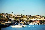 Side profile of yacht's docked at a harbor, San Diego Bay, California, USA